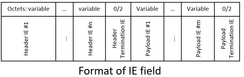 Connectivity Format IE field fixed.jpg