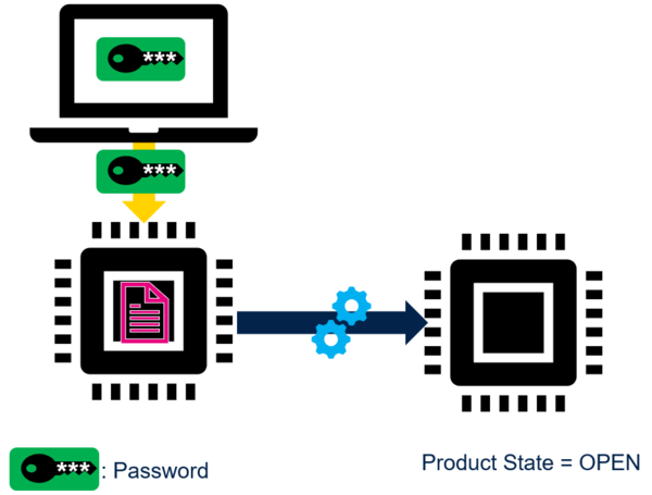 Regression by Password