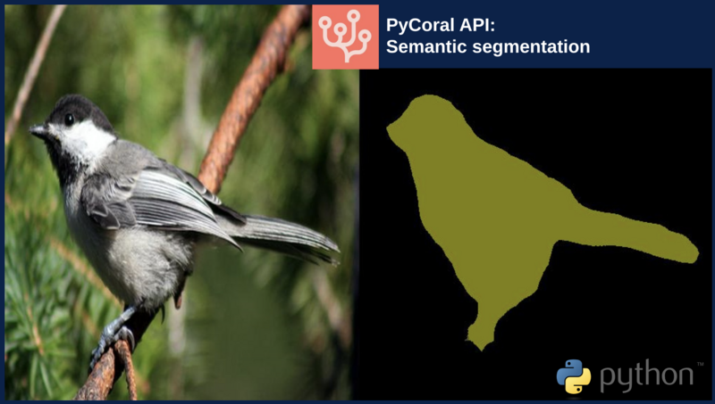 File:Pycoral edgetpu semantic segmentation example illustration.png